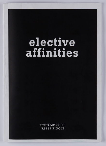 elective affinities&amp;nbsp;