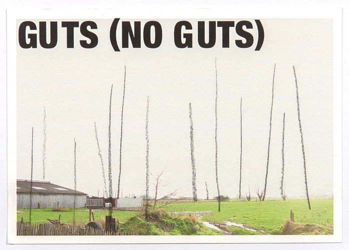 GUTS/ NO GUTS